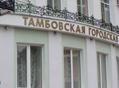 Прошлый год Тамбов закончил с профицитом в бюджете