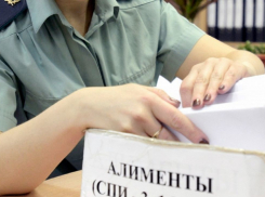 Более 560 миллионов рублей  задолжали тамбовские алиментщики