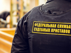 За долги по налогам тамбовские предприниматели расплатились люстрами