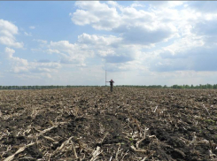 В Рассказовском округе археологи нашли 15 курганов бронзового века