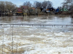 В Моршанском районе произошёл подъём уровня воды