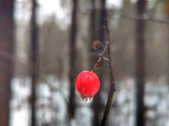 В Тамбовской области резко похолодает после аномального потепления