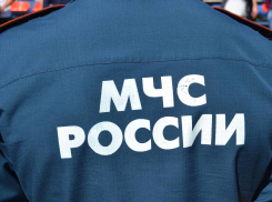 В Первомайском районе из пруда достали тело мужчины