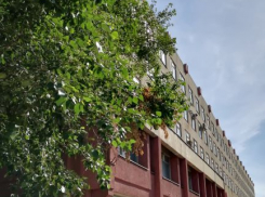 Здание тамбовского НИИ «Эфир» выставлено на торги