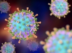 Число заболевших коронавирусом за сутки в Тамбовской области превысило полсотни