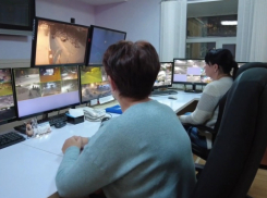 За тамбовскими ёлками будут следить камеры видеонаблюдения