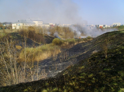 Сухой камыш загорелся в Ласковском карьере Тамбова 