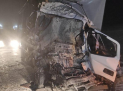 На автодороге «Каспий» в Тамбовской области произошло массовое ДТП