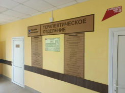 Шесть районных больниц Тамбовской области должны отремонтировать до конца года