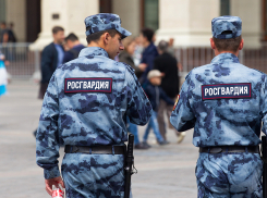 В Росгвардии прокомментировали превышение сотрудниками должностных полномочий