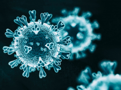 В Тамбовской области за сутки выявлено 96 больных коронавирусом