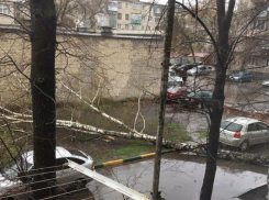 На улице 2-я Шацкая рухнувшая берёза перекрыла дорогу