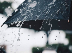 Ближайшие три дня в Тамбове ожидается тёплая и дождливая погода