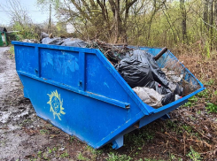 На традиционном субботнике на Студенце собрали два бункера мусора