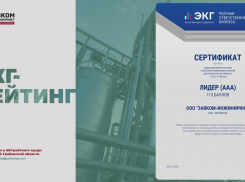 Тамбовская компания стала лидером федерального рейтинга ответственного бизнеса