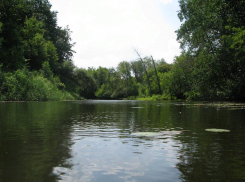 В Сосновском районе маслосырзавод сливал неочищенные стоки в реку