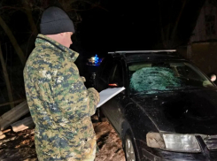 Сбившему насмерть 14-летнюю школьницу водителю предъявлено обвинение