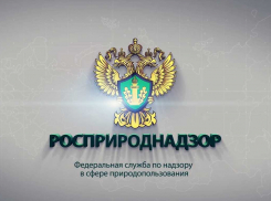 Росприроднадзор подал иск на два миллиона рублей против «ТЭКО-Сервиса»
