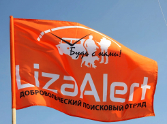 Поисковики «Лиза Алерт» нашли двух пропавших тамбовчан живыми