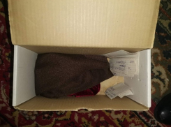 В Тамбове по подозрению в убийстве 91-летней женщины задержан ранее судимый таксист