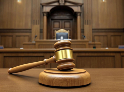 Суд обязал власти Тамбова выплатить компенсацию подростку, пострадавшему от укусов бездомной собаки