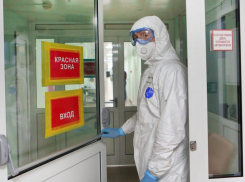 В регионе COVID-19 выявлен ещё у 67 тамбовчан