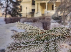 Конец первой мартовской недели в Тамбове будет слегка морозным и ветреным