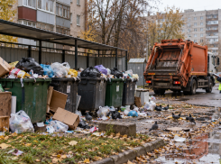 Минэкологии признало, что нарушений в сфере обращения с ТКО в Тамбове меньше не стало