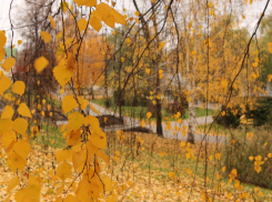 Театр против музыки: что выберут тамбовчане для отдыха?