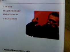 «Видимо, это мнение одного человека» -  тамбовчане о скандале вокруг листовок с Косенковым и Навальным