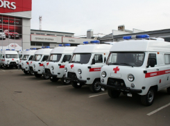 9 автомобилей скорой помощи и 15 школьных автобусов получит до конца года Тамбовская область