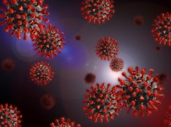 Тамбовская область готовится к омикрону