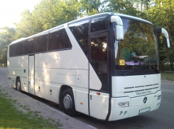 Из Москвы в Сосновку пустят рейсовый автобус