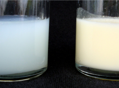 «Водянистым» молоком поили малышей в тамбовском детском саду