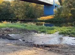 В Тамбове из канализации в Цну снова течёт мутная жижа 