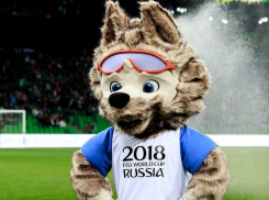 Пивоварни уже не те: FIFA подала жалобу на тамбовский паб 