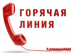 В Тамбовской области появилась «горячая линия» для клиентов такси и каршеринга