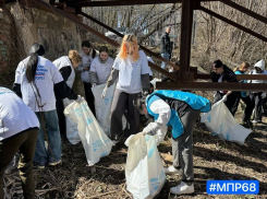 На Студенце в Тамбове собрали больше 6 кубометров мусора