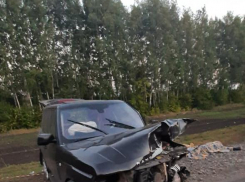 Ночью под Тамбовом в ДТП погибло трое, среди них - 4-летний ребёнок