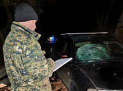 В Тамбовской области завершено расследование уголовного дела о гибели школьницы в ДТП 