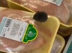 В супермаркете Тамбова по прилавку с замороженной продукцией бегает мышь