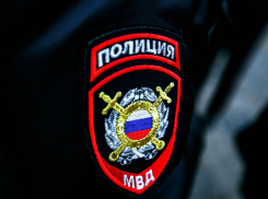 Девушку, вскрывшую собаку в Платоновке, судить не будут