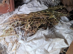 В Инжавино сотрудники наркоконтроля задержали мужчину с 1,5 килограммами наркотика