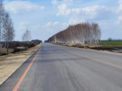 В Тамбовской области при ремонте четырёх автодорог выявили недостатки и отставание от графика