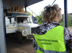 Региональный экологический надзор отказался от проверок предприятий до конца года