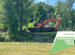 В Тамбове начали вырубать растительность в парке Дружбы для расчистки Цны