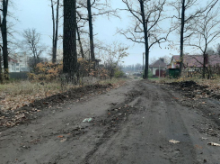 Жители одной из улиц Котовска забыли, как выглядит заасфальтированная дорога