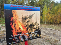 В Тамбовской области продлили действие особого противопожарного режима