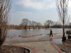 В Тамбове коммунальщики чистят колодцы и вывозят сугробы