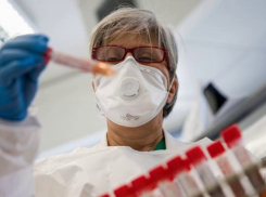 Число заболевших коронавирусом в регионе превышает средние показатели по РФ